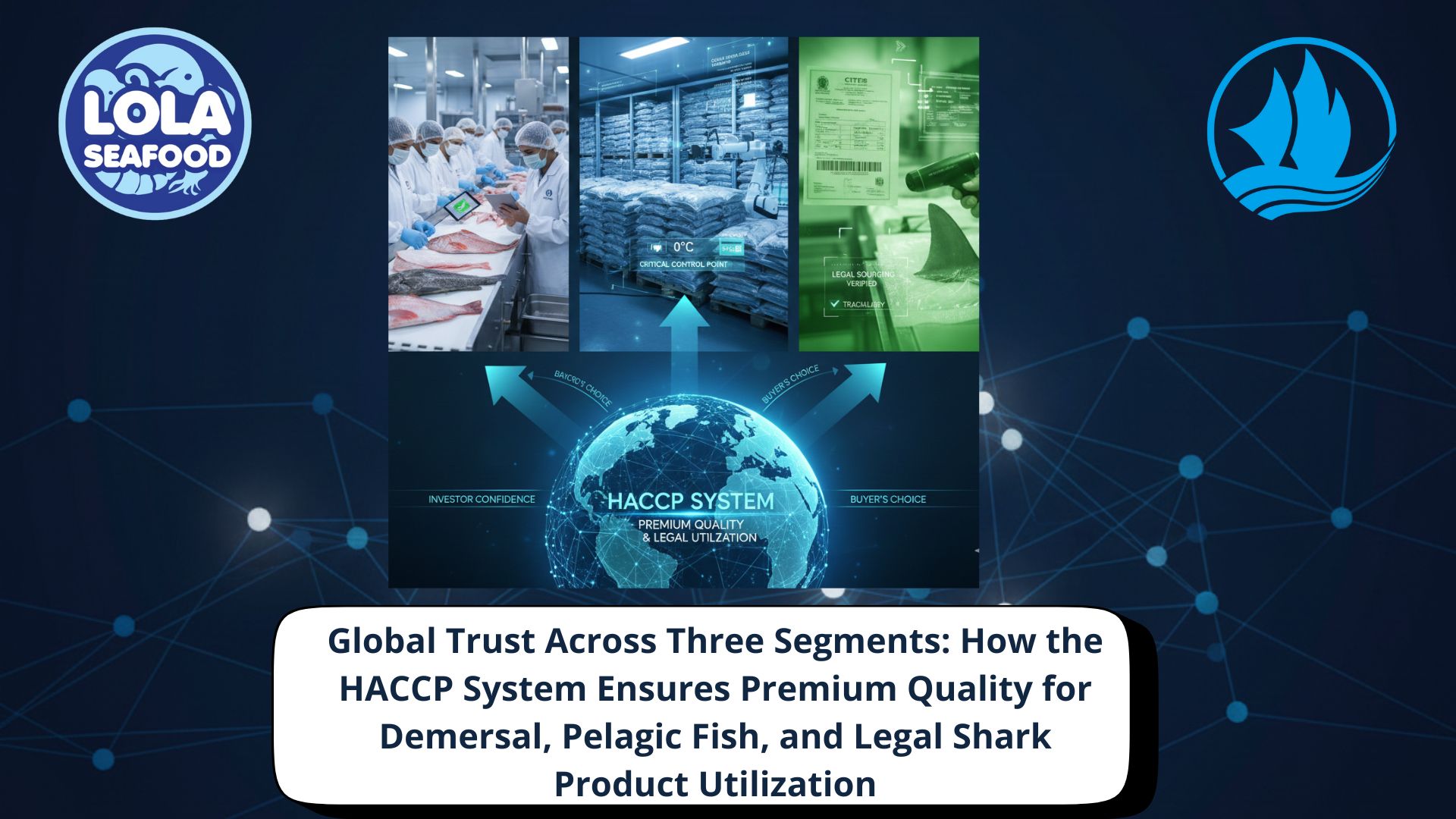 Global Trust Across Three Segments: How the HACCP System Ensures Premium Quality for Demersal, Pelagic Fish, and Legal Shark Product Utilization